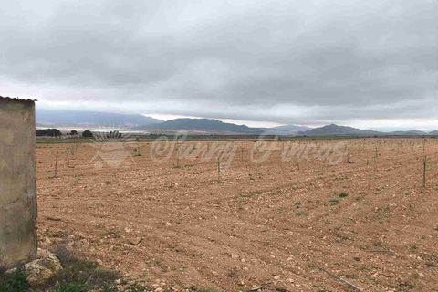 Helårsgrund i Yecla, Murcia, Yecla - € 47.000 | Ref: SF0566 - foto 10